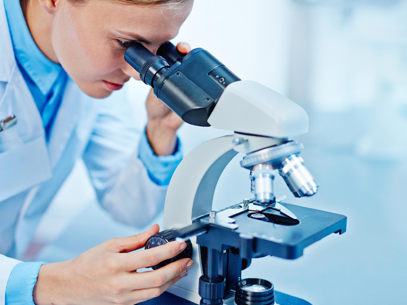 Novias Pharma Laboratorio